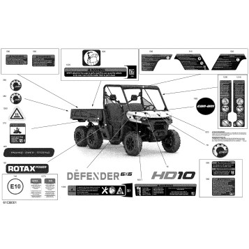 07- Body - Decals