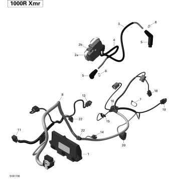 10- Engine Harness and Electronic Module - XMR