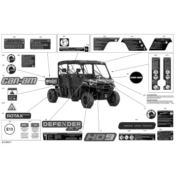 07- Body - Decals