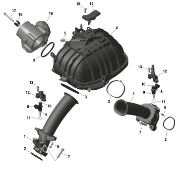 01- ROTAX - Air Intake Manifold And Throttle Body