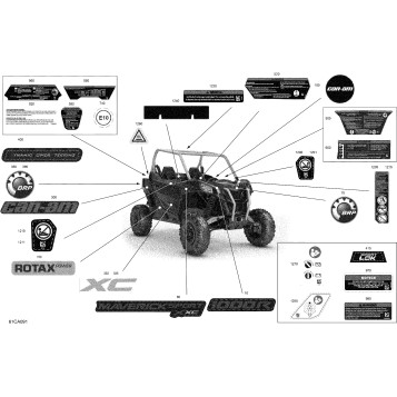07- Body - Decals