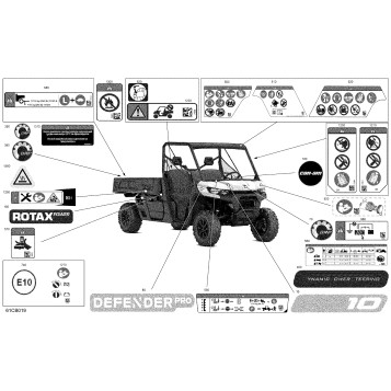 07- Body - Decals