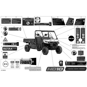 07- Body - Decals
