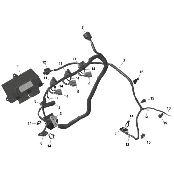 01- ROTAX - Engine Harness And Electronic Module