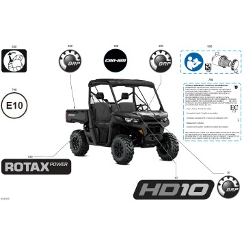 07- Body - Decals