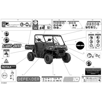 07- Body - Decals