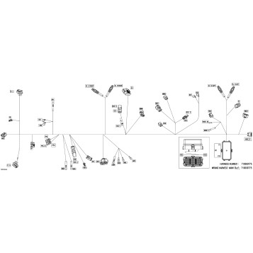 08- Electric - Main Harness - 710009775