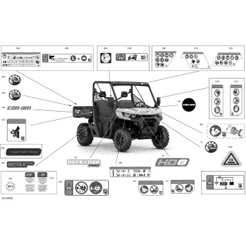 09- Decals - PRO International