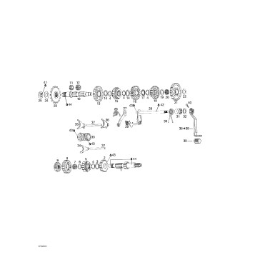 05- Transmission