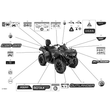 07- Body - Decals