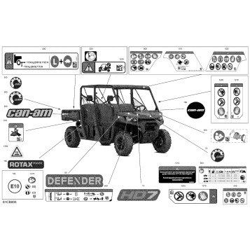 07- Body - Decals