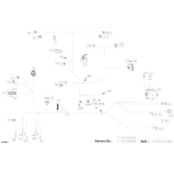 08- Electric - Main Harness - 710006660