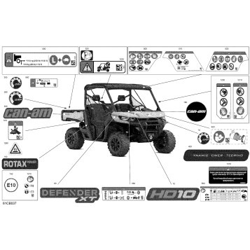 07- Body - Decals