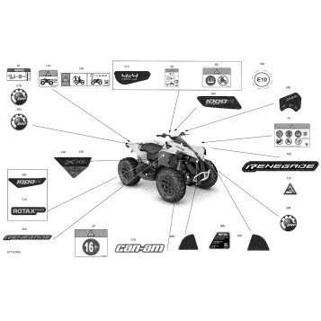 07- Body - Decals