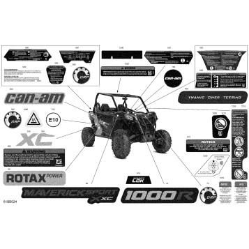 07- Body - Decals