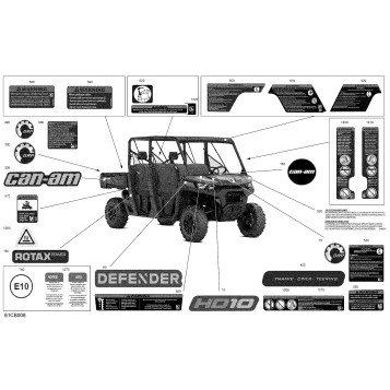 07- Body - Decals