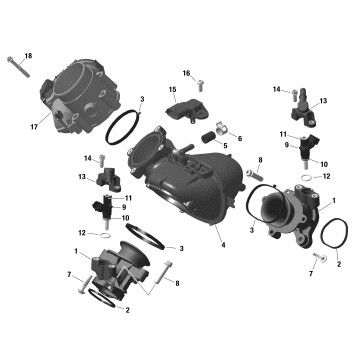 01- Rotax - Air Intake Manifold And Throttle Body