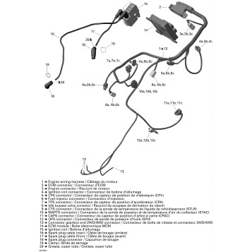 10- Engine Harness