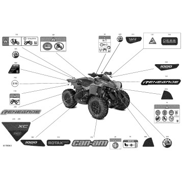 07- Body - Decals