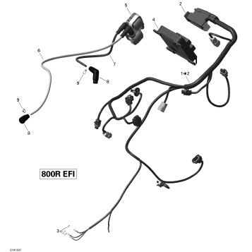 10- Engine Harness And Electronic Module