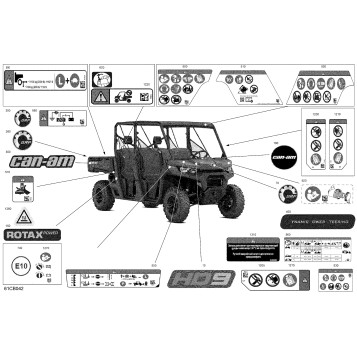 07- Body - Decals