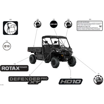 07- Body - Decals