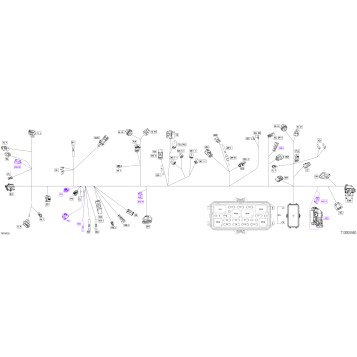 08- Electric - Main Harness - 710005560