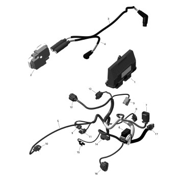 01- ROTAX - Engine Harness And Electronic Module