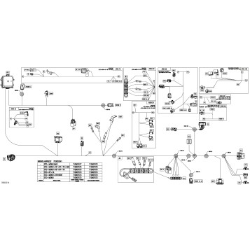 08- Electric - Main Harness - 710007675