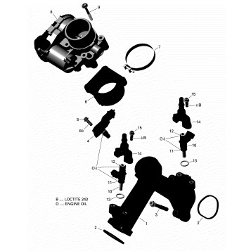 01- ROTAX - Air Intake Manifold And Throttle Body