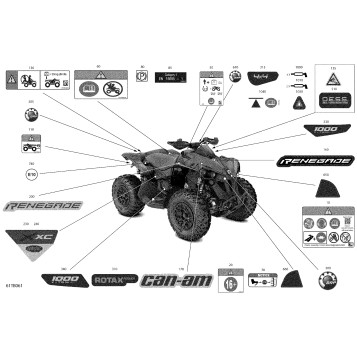 07- Body - Decals