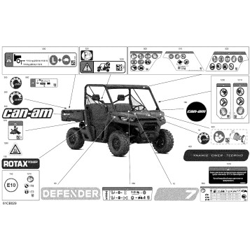 07- Body - Decals