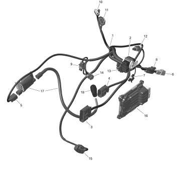 01- Rotax - Engine Harness And Electronic Module - 2