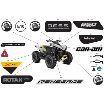 07- Body - Feature Decals