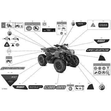 07- Body - Decals