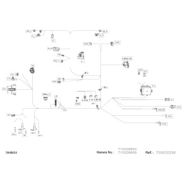 08- Electric - Main Harness - 710006658