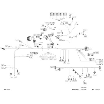 08- Electric - Main Harness - 710008030