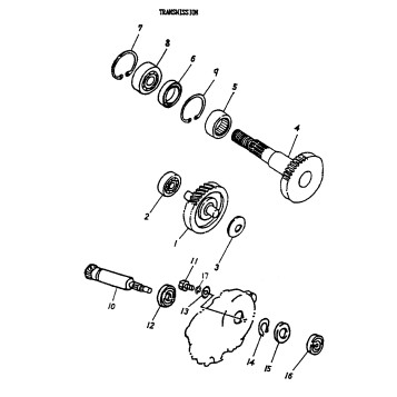 05- Transmission