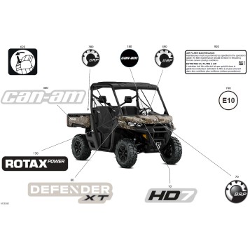 07- Body - Decals