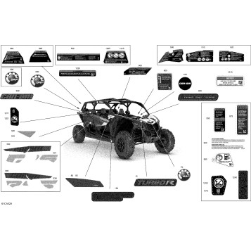 07- Body - Decals  - RS