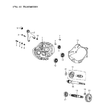05- Transmission