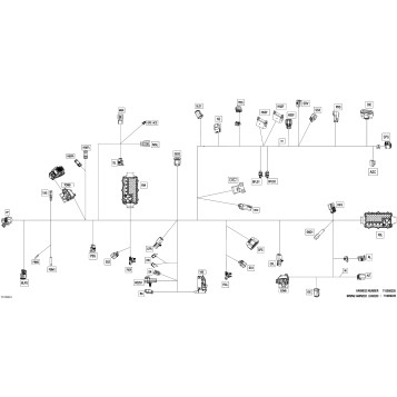 08- Electric - Main Harness - 710009228