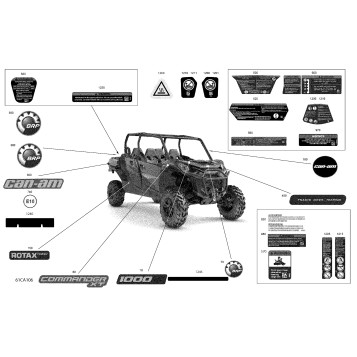 07- Body - Decals - XT